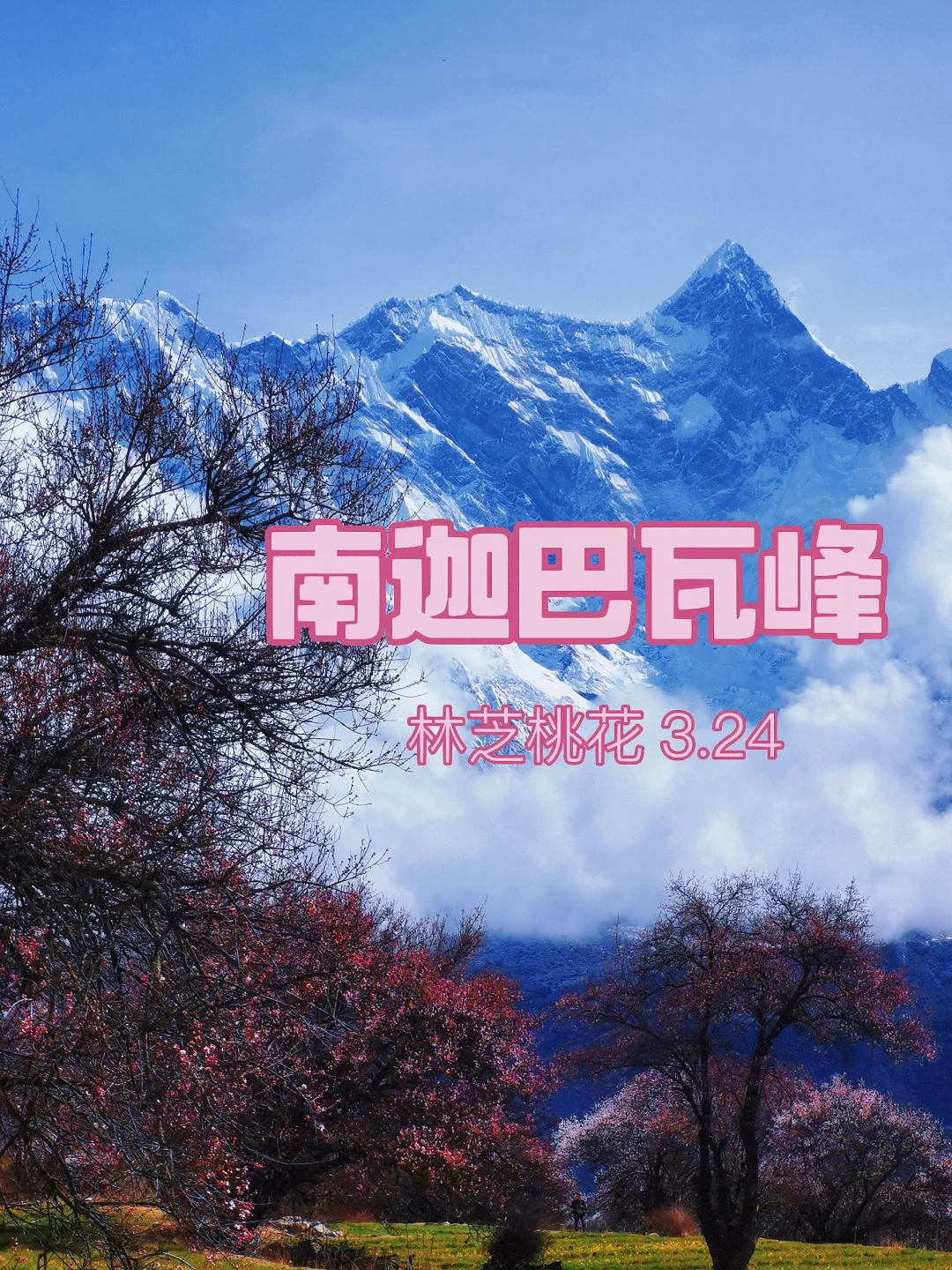 西藏篮球队今日在比赛中赢得令人瞩目的胜利 