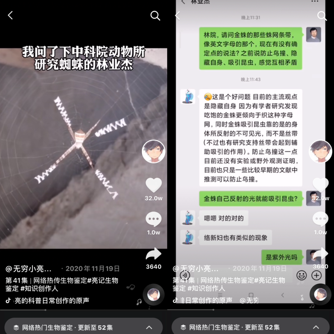 强大对手不容小视，揪心战绩反复脉脉的简单介绍